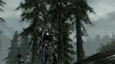 My character using TemplePlate Armor