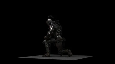 armor pose 0061