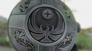 Shield Looks Beautiful