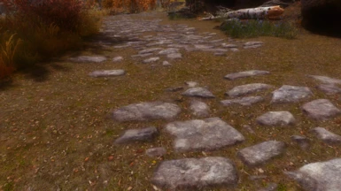 Blended Roads with NobleSkyrim fall forest texture