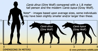 canis dirus dire wolf size