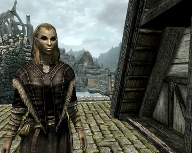 Vampire Appearance Fix at Skyrim Nexus - Mods and Community