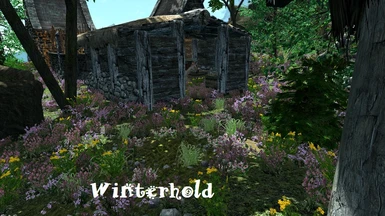 Winterhold2