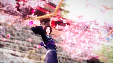 Random image of Tomomi under a cherry blossom tree