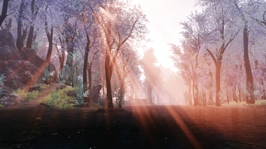 Using with Tetrachromatic ENB