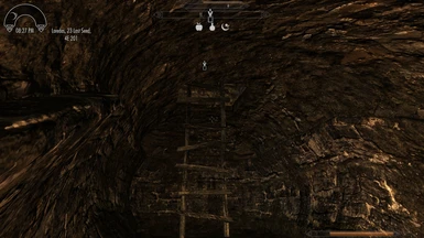 Ladder from Smugglers Tunnel to behind the Riften Stables
