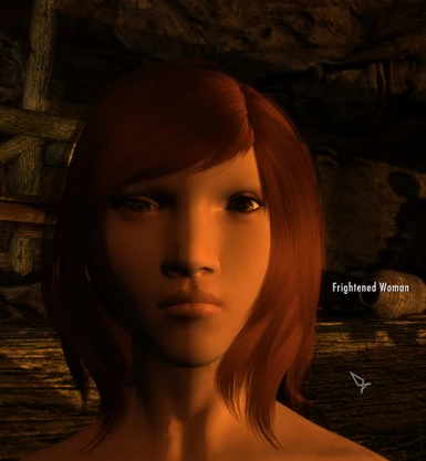 Nexus Mods' archiving controversy angers Skyrim and Fallout mod