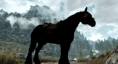 Black Horse Skyrim