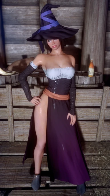 Dragons Crown Sorceress Outfit Custom Conversion at Skyrim Nexus - mods