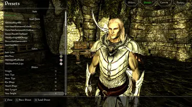 Male Altmer RaceMenu Preset at Skyrim Nexus - mods and community