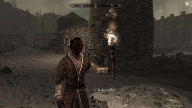 Dremora Servant with torch