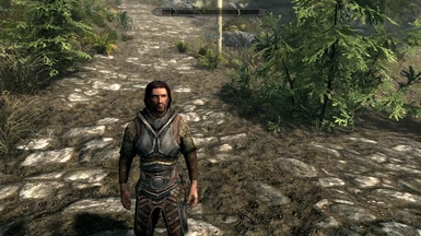 The Elder Scrolls V: Skyrim Nexus Mods Armour Male PNG, Clipart