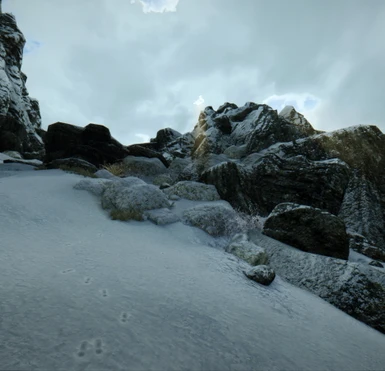 Blends really well with these rock textures in the snow
