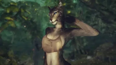 Skyrim se better looking khajiit