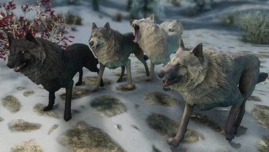 Wolves of Cyrodiil - Mihail Monsters and Animals (LE version) at Skyrim  Nexus - Mods and Community