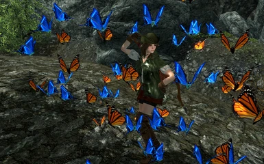 Dancing with the Butterflies on Hot Files News