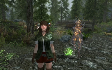 Linea and her Spriggan