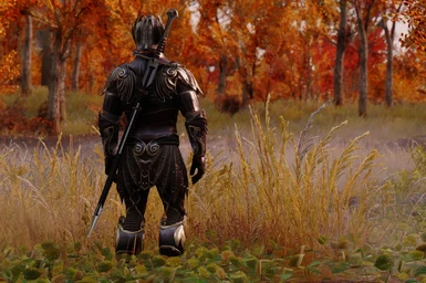 Truly light elven armor male   his1nightmare 2