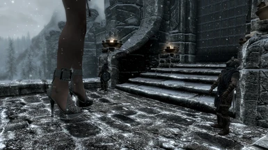 At the Windhelm gate