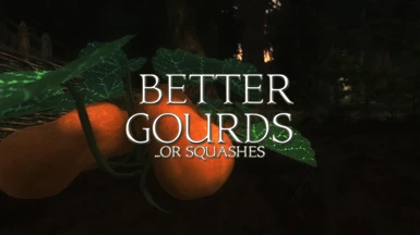 Better Gourds ... Or Squashes
