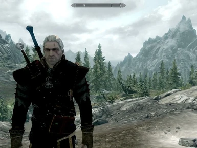 WUS Witcher Race v05