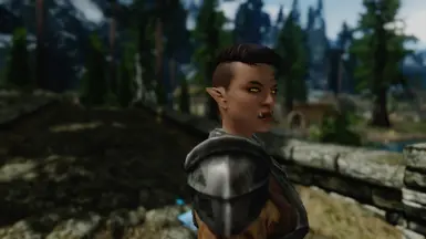 Borgakh 1
