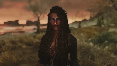 Racemenu Presets Collection At Skyrim Nexus Mods And Community