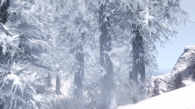 Spooknik's snowy trees with billboard2 settings in DynDOLOD