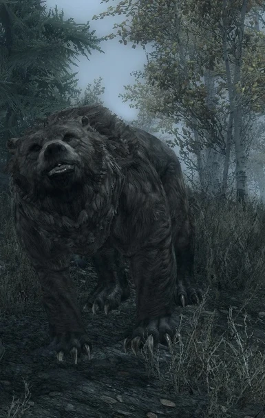 Bears now look like bears!!!