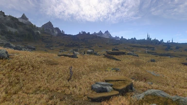 Tundra with removed SFO tundra shrubs and their LODs. (2.6p02)