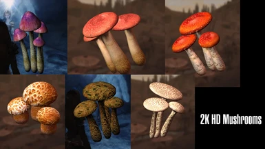 2K HD Mushrooms, the 6 types of mushrooms, Blisterwort etc. 