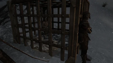 Stormcloak Prisoner in Cage