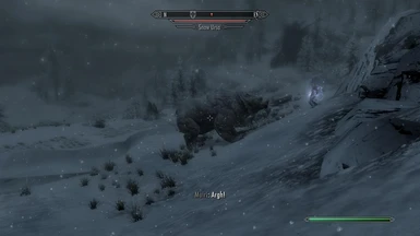 A wild snow ursa appeared