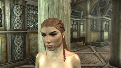 Td18 Lore Friendly Hair At Skyrim Nexus Mods And Community