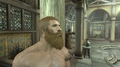 Td18 Lore Friendly Hair At Skyrim Nexus Mods And Community