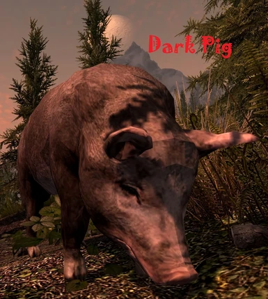 Dark pig