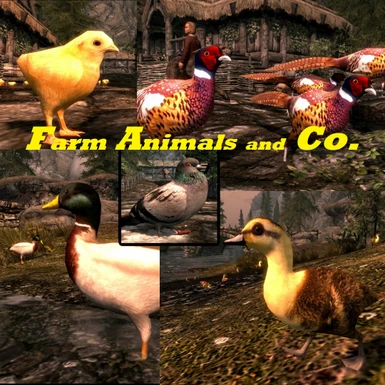Farm Animals and Co.