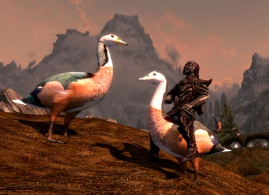Two Hammerfell's Geese