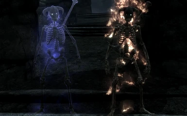Skeleton Ghost and Skeleton Flame