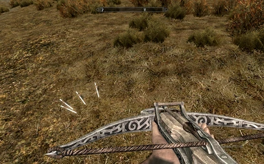 Works on Crossbow bolts too!