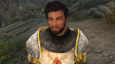 Marcus the Knight - Custom-Voiced Standalone Follower
