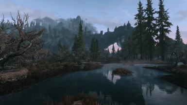 The marshes near Solitude and Morthal
