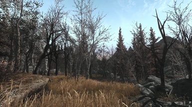 with White Orchard ENB
