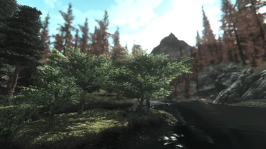 with Dark Forests of Skyrim