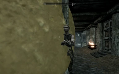 you know whats wrong with skyrim these days everyone is obsessed with cheese 