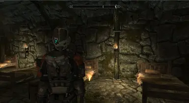 Patrol Severed