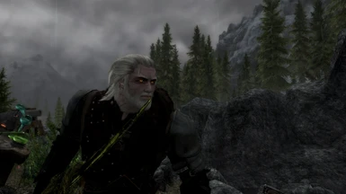 Just for showing off my Geralt