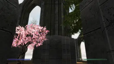 Better roof-0.2
