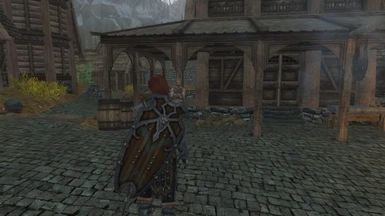 Dual Sheath Redux Shield Patches Shields On Back At Skyrim Nexus Mods And Community