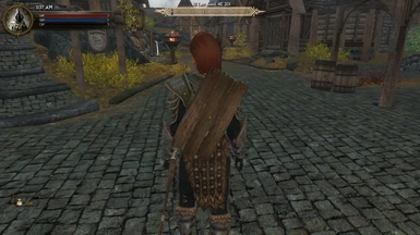 Dual Sheath Redux Shield Patches Shields On Back At Skyrim Nexus Mods And Community
